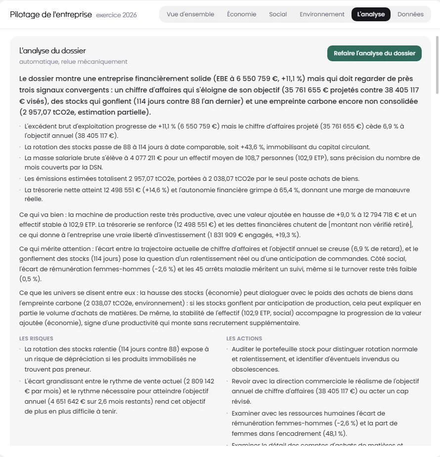 The Analysis tab in Pilotage, on a demo file: the overall reading, the key points, what is going well, what deserves attention, the risks and the actions